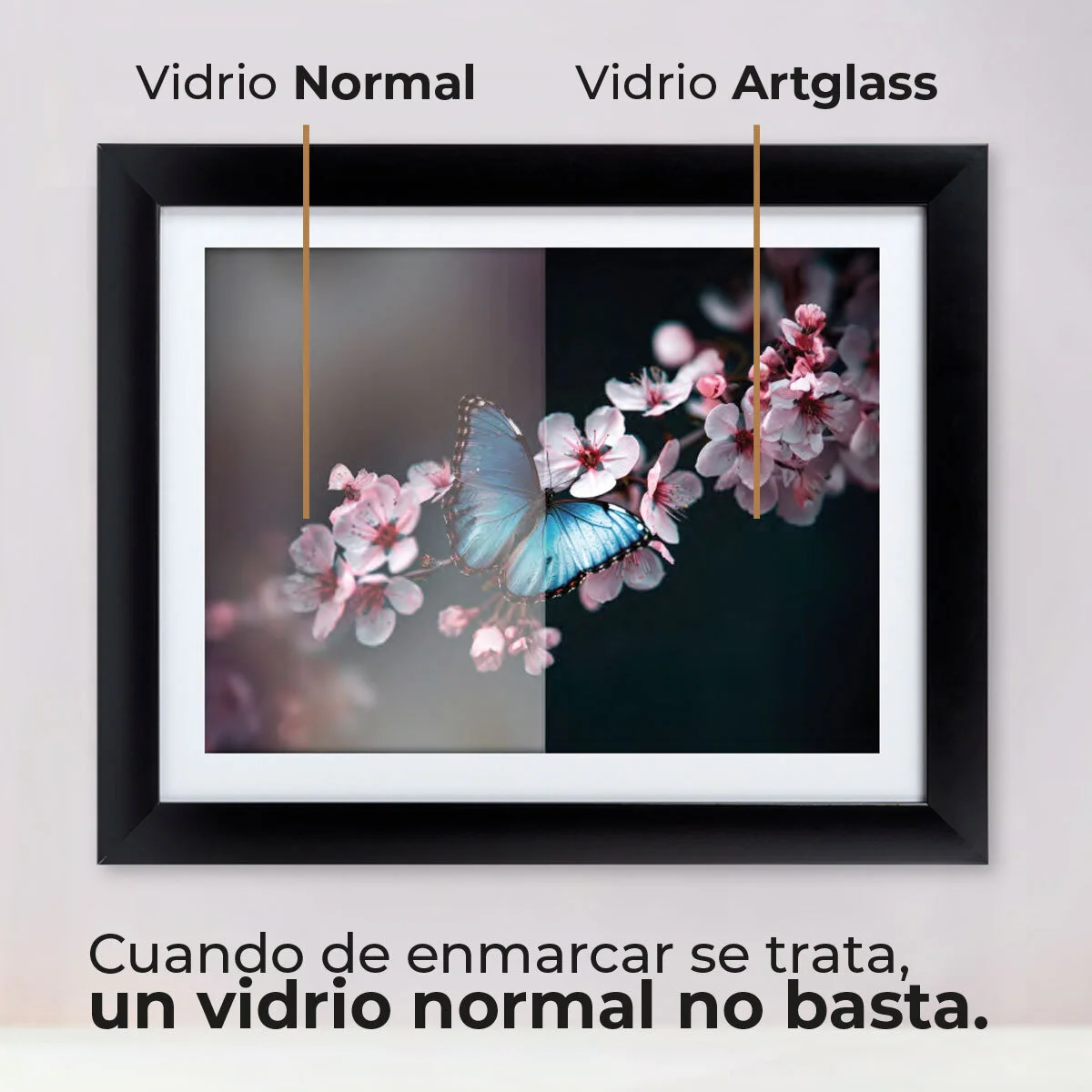 Vidrio de conservación artglass mymbox